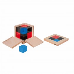 Cube du binôme - Nienhuis
